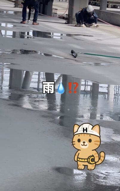 2025年 Instagram閲覧数ランキング ベスト6発表！